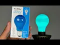 Mood-lites 25-Watt Decorative Blue Incandescent Light Bulb
