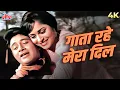 Gaata Rahe Mera Dil Tu Hi Meri Manzil 4K Full Song Guide 1965 Kishore Lata Old Hindi Song