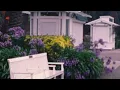 Tiffany Day - WHAT AM I RUNNING FROM (Official Lyric Video)