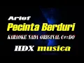 Download Lagu Arief - Pecinta Berduri - karaoke original