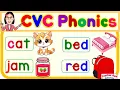 CVC Phonics Words and Sentences English Reading Practice for kids Compilation
