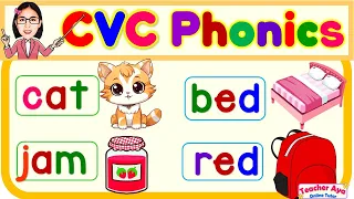 CVC Phonics Words And Sentences English Reading Practice For Kids Compilation 