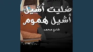 ضليت اشيل اشيل هموم دندنها