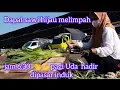 Download Lagu DAPAT SAWI HIJAU  MELIMPAH JERUK ,MANGGA ,DAUN SALAM SEKEBON