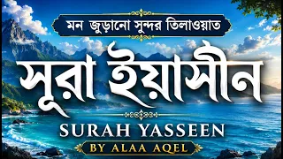 মন জুড়ানো সুন্দর তিলাওয়াত | সূরা ইয়াসীন | Surah Yaseen Beautiful Quran Recitation | Alaa Aqel