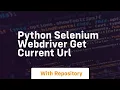 python selenium webdriver get current url