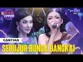 Download Lagu CANTIKA (CIREBON) - Sebujur Bangkai | DMD PANGGUNG REZEKI