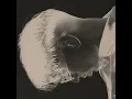 Nostalgic - Qaab & Abix