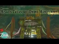 Legend of Zelda TOTK - Side Quests Misko s Treasure Twins Manuscript II
