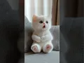 Download Lagu It’s really cute kitten!! #cat #cute #lipsync #catlover #kitten