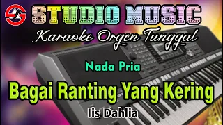 Download Dangdut Orgen Tunggal Bagai Ranting Yang Kering - Iis Dahlia || Karaoke Nada Pria MP3