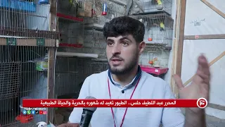 المحرر عبد اللطيف حلس.. الطيور تعيد له شعوره بالحرية والحياة الطبيعية
