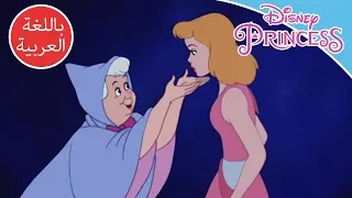 سندريلا العرافة الطيبة أميرات ديزني 