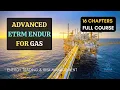 Download Lagu 401 Gas - Advanced ETRM (Endur) | 16 Chapter Course