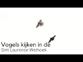 Download Lagu Vogels kijken onder de rook van Middelburg #1643