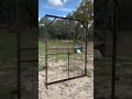 Build Hog trap door with wireless cellular design for 200