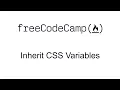 Basic CSS - Inherit CSS Variables