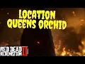 Red Dead Redemption 2 queens orchid