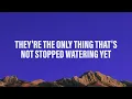 Waylon Wyatt - Wishbone (Lyrics)