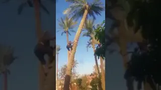 مضحك 2019 الله اكبر علييييييك ايه الحلاوة دي 