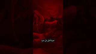 سالفه فكدك جبيره مسلم الوائلي 1447هـ Story 