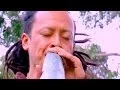 Download Lagu Sanshi on the Blue Bamboo