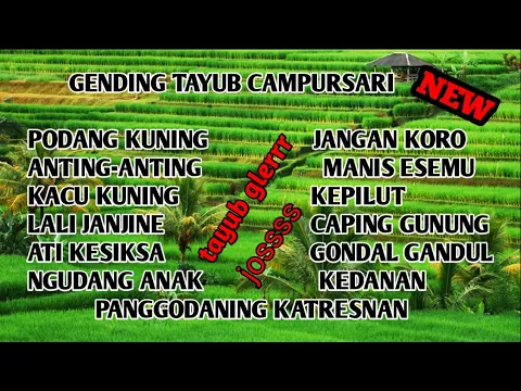 Download MP3 TAYUB JAWA GLERRR TERBARU , NO IKLAN  COBA DI PENCET TERUS DIDENGERIN DULU , PASTI MAK JOSSS