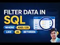 Filtering Data in SQL - WHERE LIKE IN BETWEEN
