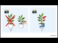 Go Reflection Simplified