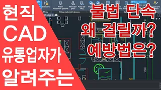 현직 캐드 유통업자가 알려주는 불법 단속 걸리는 이유와 예방법 