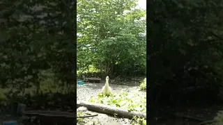 464TH Day Watch It Here Https Youtu Be A4aHSsa39lE Si 5ProNINqDkNhG5 