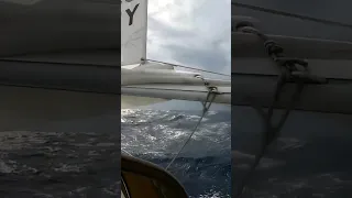 SAILING GALE FORCE 9