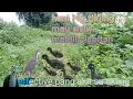 Download Lagu huni Ng tikling mabisa pang akit sa tikling