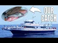 OUR CATCH from 4 DAYS 3 NIGHTS at SEA on the Yankee Capts