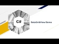 DataGridView C windows Form