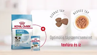 Royal Canin Mini Puppy eledelek - kistestű kölyök kutyák részére | Petissimo