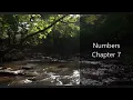 The Book of Numbers Chapter 7 - New King James Version NKJV