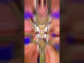 Download Lagu khush honge hanuman ram ram kiye jaye