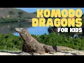 Komodo Dragons for Kids Learn all about these apex predators