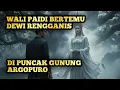 Download Lagu Wali Paidi Bertemu Dewi Rengganis Di Puncak Gunung Argopuro