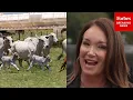 Secretary Of Agriculture Brooke Rollins Addresses Uptick In Screwworm Cases While Taking Questions