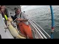 Seabass fishing on the Queen Mary in Point pleasant beach NJ