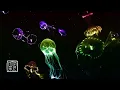 Download Lagu Quite Soothing 💫Space Walking Music 12HRS with 💨Gearman Jellyfish will support😮‍💨your sleep.