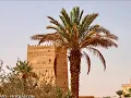 عود: فوق النا خل oud: Fog elna khil.  للرائع: عمر بشير.