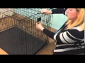 How to Set Up a Crate for Your Dog