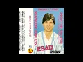 Esad Kovacevic - Nema vise moj jarane (Audio 1989)