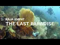 Download Lagu Raja Ampat - The Last Paradise | Episode 1 Sorido Bay Resort \u0026 Cape Kri | Indonesia | 4K (2021)