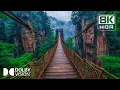 Download Lagu Awe-Inspiring Paradise in 8K HDR | Dolby Vision™