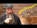 Download Lagu I Distilled VENISON! Not What You Might Think!