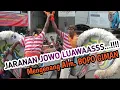 Download Lagu PENAMPILAN JARANAN JOWO ASLI KEDIRI // MENGENANG ALM. BOPO GIMAN // WAHYU KRIDA BUDAYA KOTA KEDIRI